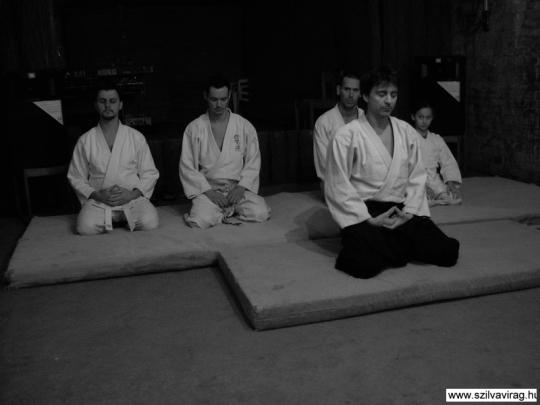 Aikido Előadás Erdőkertes 52